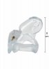 Clear Control Cock Cage Regular